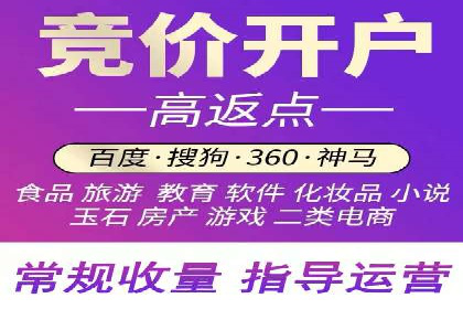 百度竞价代理的客户案例：如何实现ROI最大化